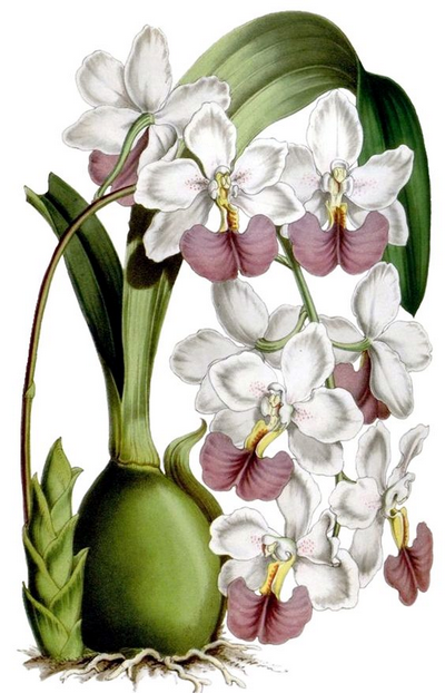 Veille à lire les livres profitables...