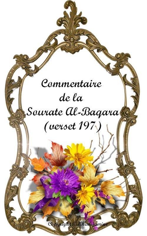 Commentaire De La Sourate Al-Baqara (verset 197)