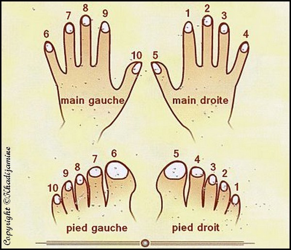 Les Soins D Hygiene Du Corps La Coupe Des Ongles