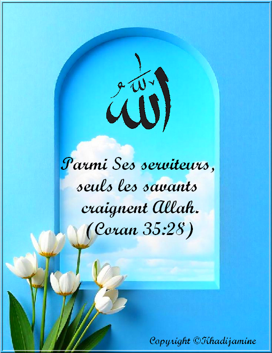 Parmi Ses serviteurs, seuls les savants craignent Allah