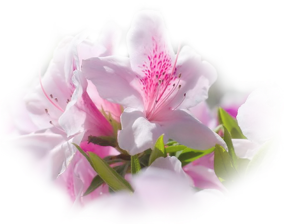 Poème : Si la personne ne te supporte comme ami 