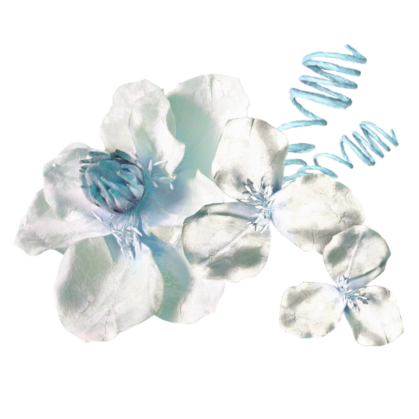 Le Tawhîd est le cordon ombilical entre le Coran et...