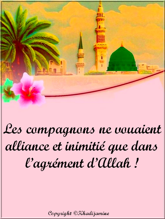 Les compagnons ne vouaient alliance et inimitié...