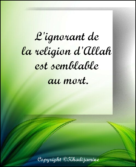 L'ignorant de la religion d'Allah est semblable au mort