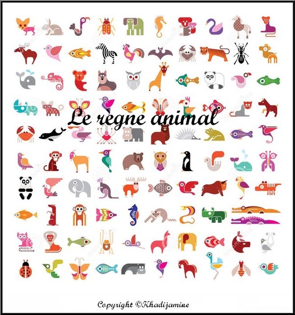 Le règne animal  2/3