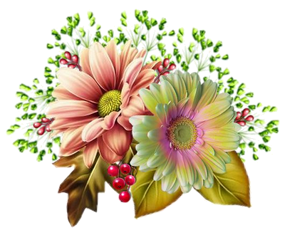 Le silence est une forme de sagesse