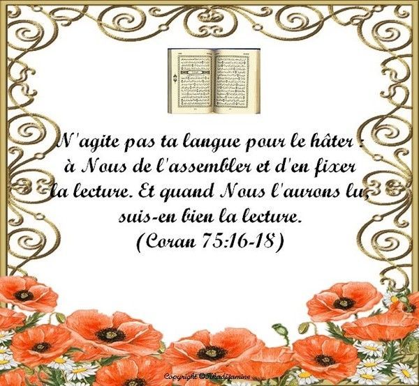 N'agite pas ta langue