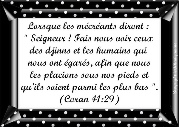 Exégèse De La Sourate 41 Du Verset 29 9086