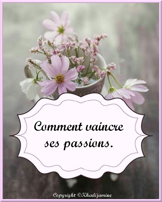 Comment vaincre ses passions
