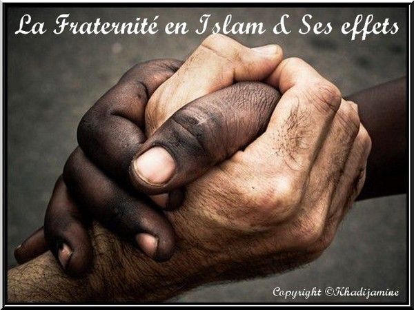 La Fraternite Humaine En Islam M Zenati