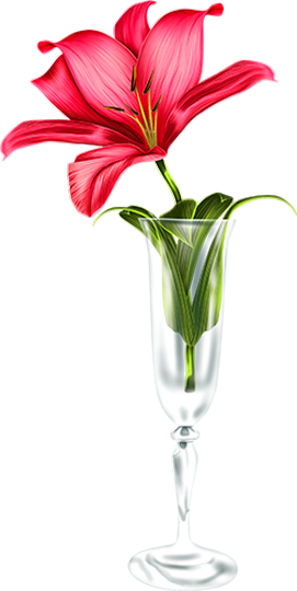 Si tu veux la réussite, si tu veux le bonheur...