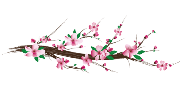 Peu d'œuvre sur la Sunna est meilleure que...