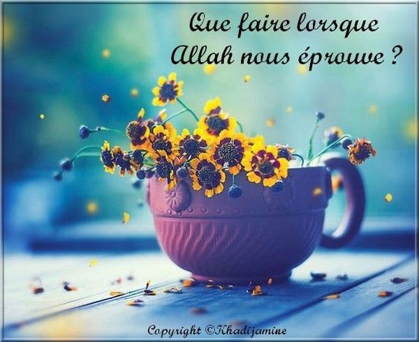 Que faire lorsque Allah nous éprouve