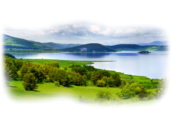 Les ennemis de Mu'awiyah