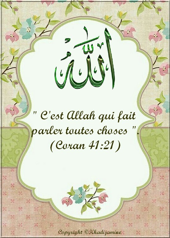 Le langage de la vie 2/4