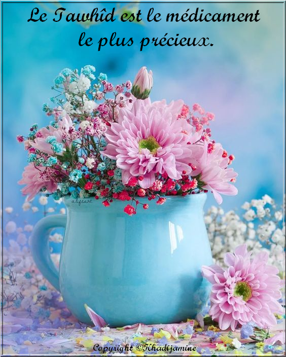Le Tawhîd est le médicament le plus précieux