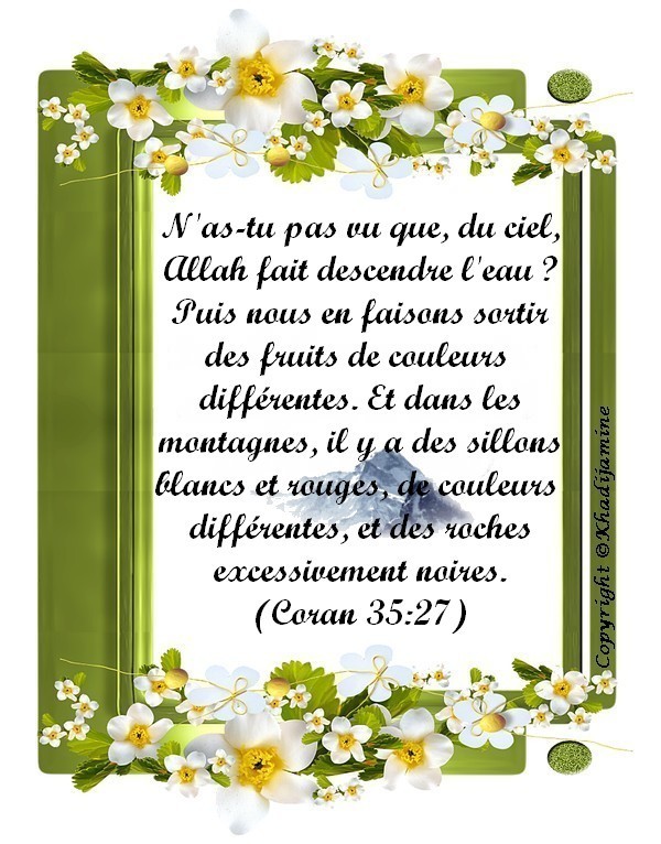 Exégèse De La Sourate 35 Des Versets 27-28