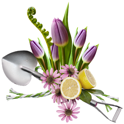 Les voleurs sont de diverses catégories