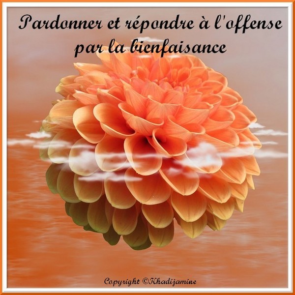 Mon Coeur Est En Islam Page 578