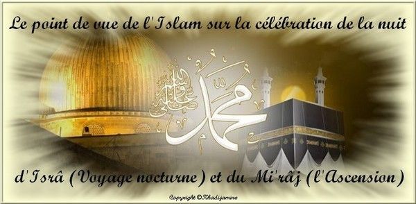 voir un chat noir la nuit islam