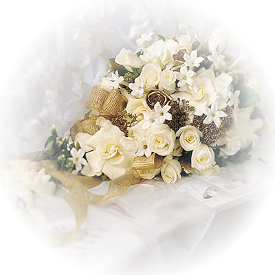 L'Invention de Lois ne peut prendre que 4 Formes