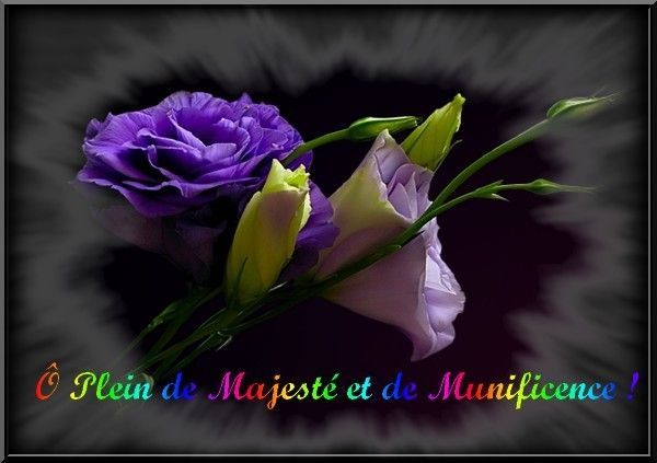 Ô Plein de majesté et de Munificence !