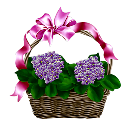 Contester la falsification de Torah et l'Évangile