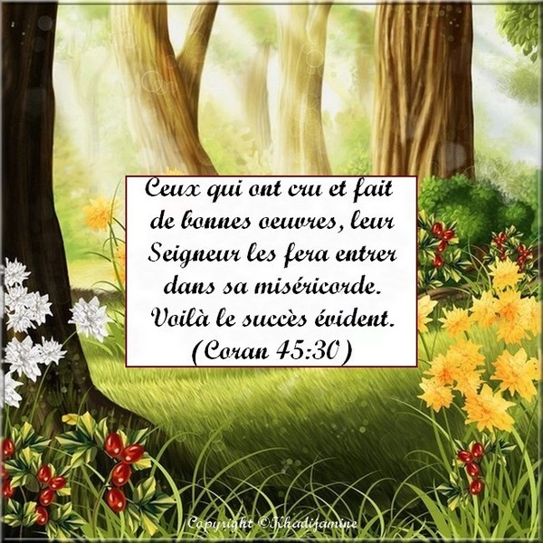 Exégèse De La Sourate 45 Des Versets 30 35 5587