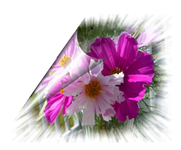 Trois choses font partie de la patience