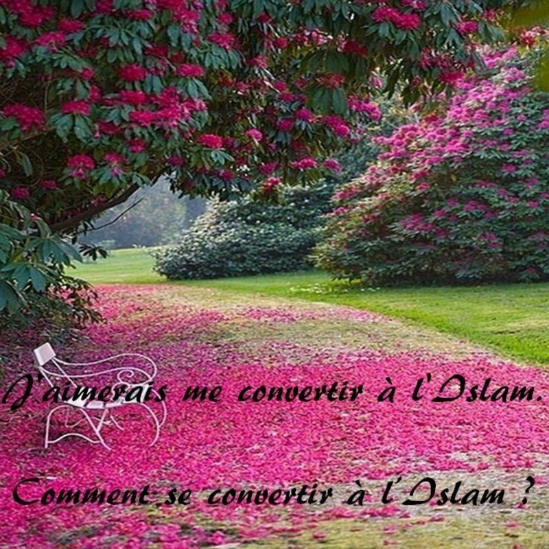 Comment trouver la prostate d un homme