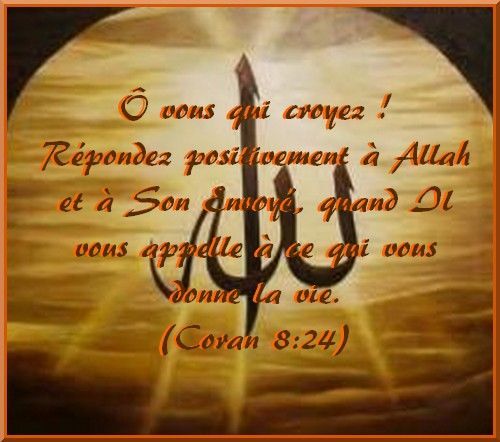 ibn al qayyim la rencontre avec allah