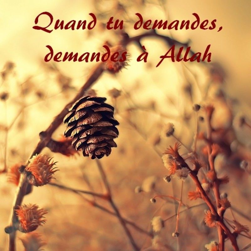 Invocation Pour Demander De L'aide A Allah Pdf