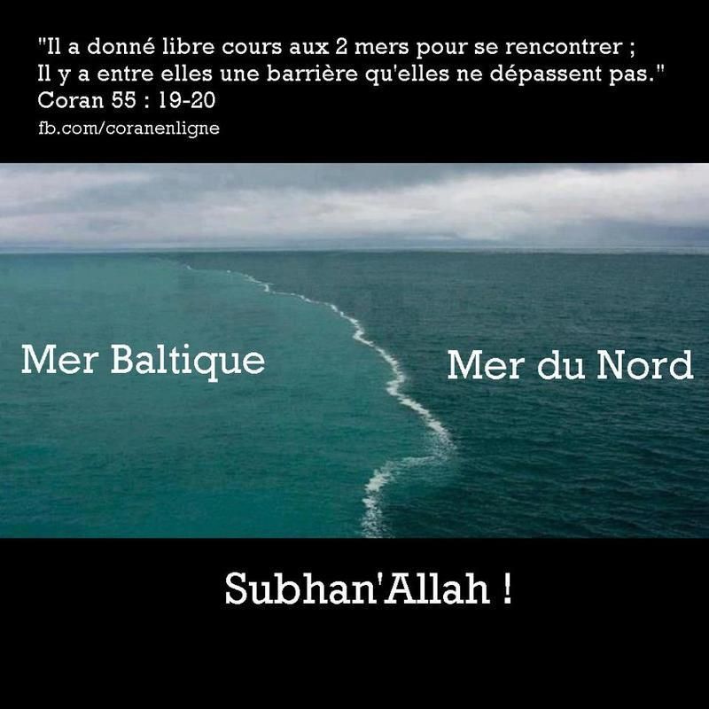 rencontre mer du nord mer baltique