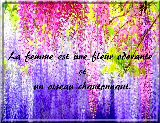 la femme la plus heureuse au monde - Page 3