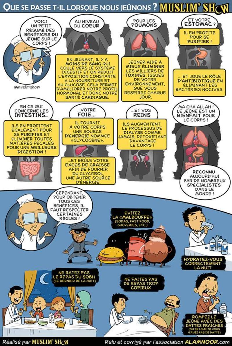 bienfaits du jeune sur le corps bienfaits du jeune sur le corps