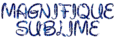 MAGNIFIQUESUBLIME.gif
