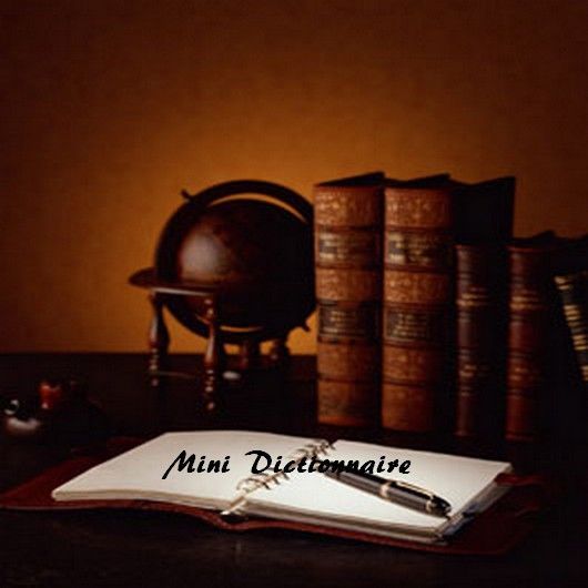 mini dictionnaire