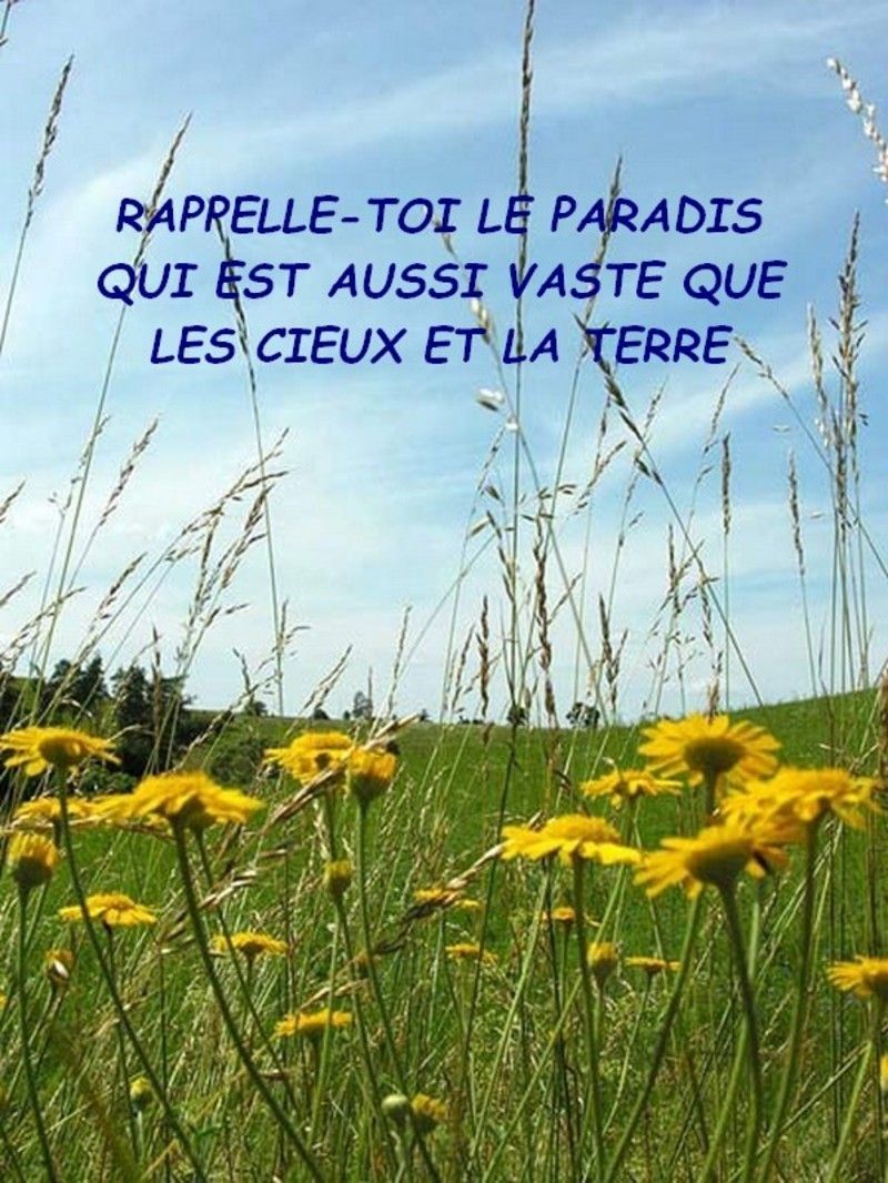 Ne Sois Pas Triste Allah Est Ton Seigneur
