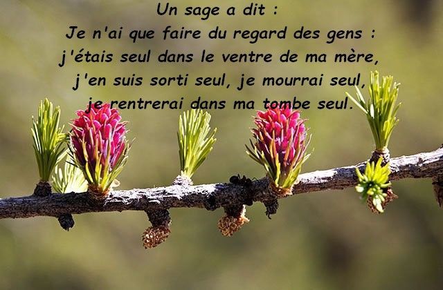 rencontre gens seul