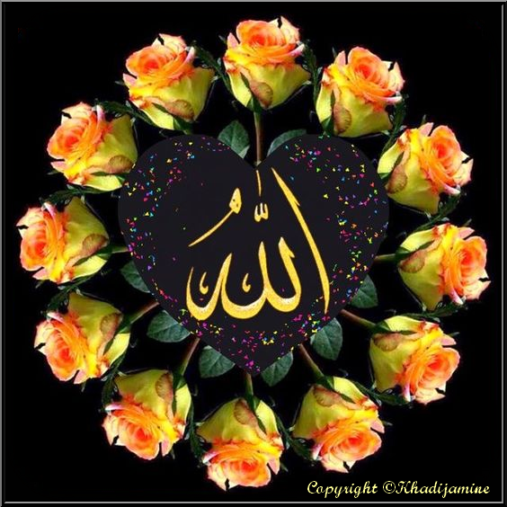 Quiconque contredit cette vérité, qu'Allah le maudisse