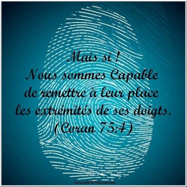 L'identité cachée dans l'empreinte digitale