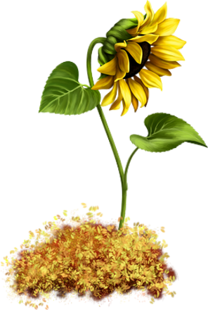 La maladie des jeunes d'aujourd'hui...