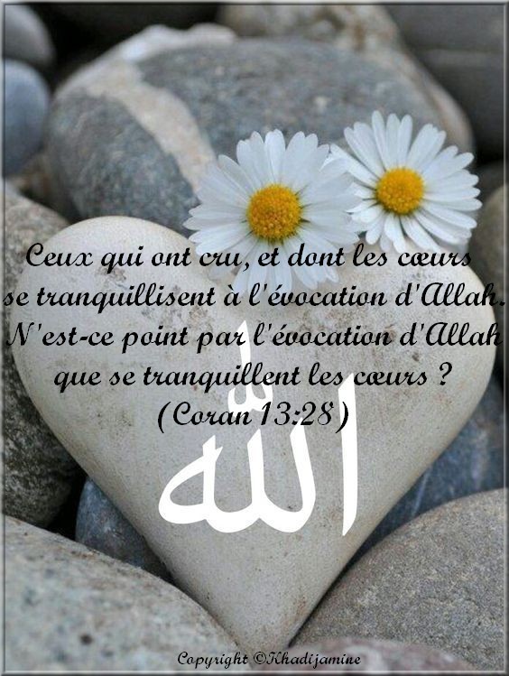 Exégèse de la sourate 13 du verset 28