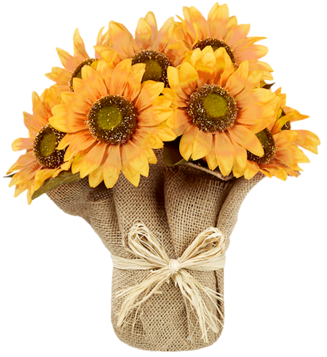 Allah a établi la force du croyant en son cœur