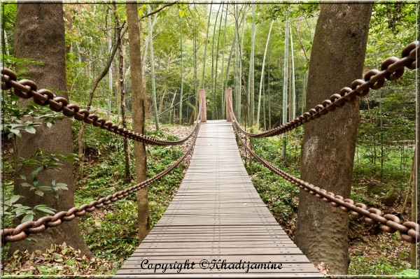 La vitesse de la personne sur le Sirat ?