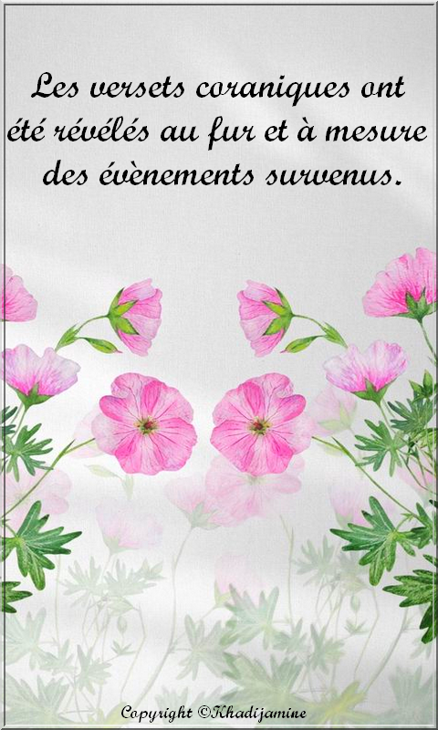 Boîte à Versets Coraniques - 90 Affirmations Quotidiennes En Français - Réconfort Spirituel, Cadeau Inspirant - 9