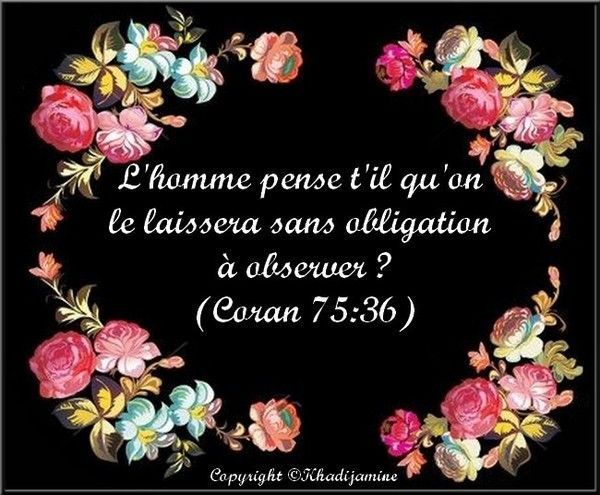 Exégèse de la sourate 75 des versets 36-40