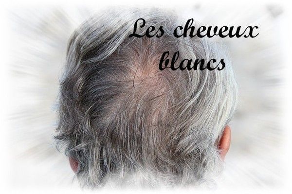 REPONSE A El+YAKHLIFI