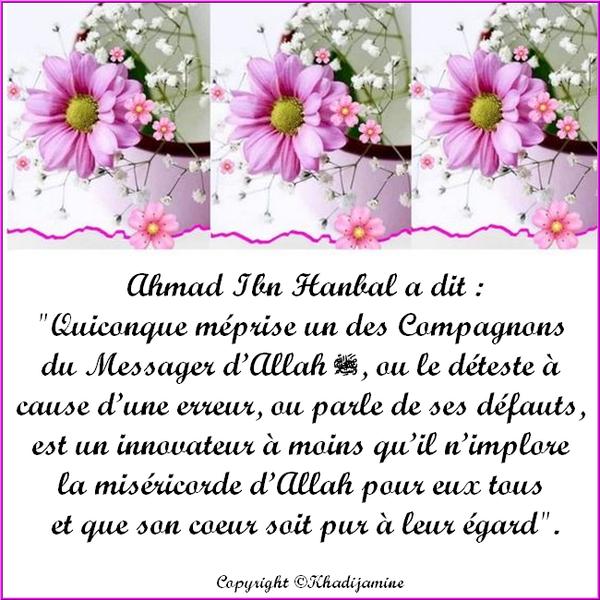 Quiconque méprise un des Compagnons du Messager d’Allah