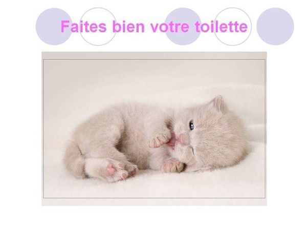 faitesbienvotretoilette1.jpg